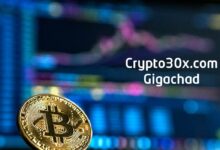 Crypto30x.com Gigachad