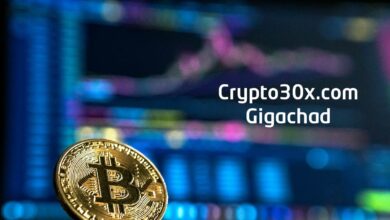 Crypto30x.com Gigachad