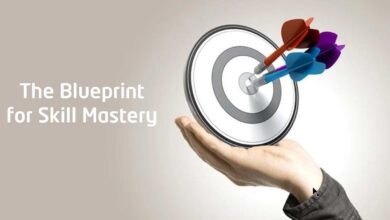 Blueprint for Skill Mastery