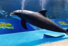 Miami Seaquarium